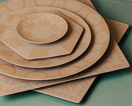 Imperial Peacock by the Frank Lloyd Wright Foundation