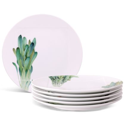 Dinner Plates, Set of 6, 10.5"
