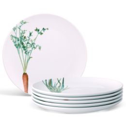 Salad Plates, Set of 6, 9.5"