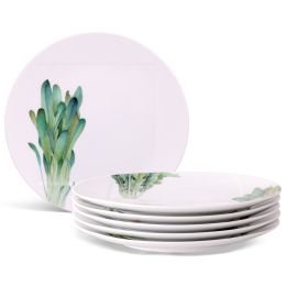 Dinner Plates, Set of 6, 10.5"